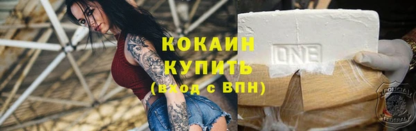 таблы Новозыбков