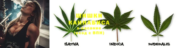 Альфа ПВП Новодвинск