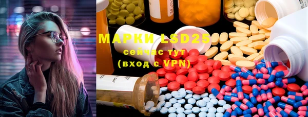 таблы Новозыбков