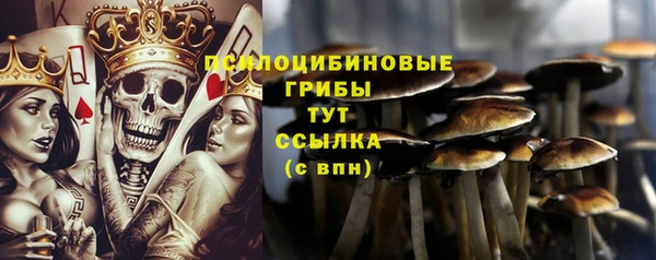 Альфа ПВП Новодвинск